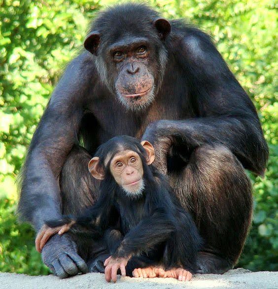 dad&son